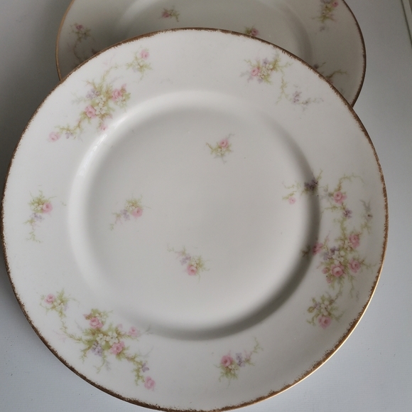 Antique Theodore Haviland Limoges Plates 7 - Picture 8 of 8